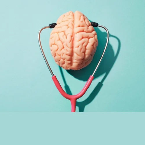 Brain & Memory Support