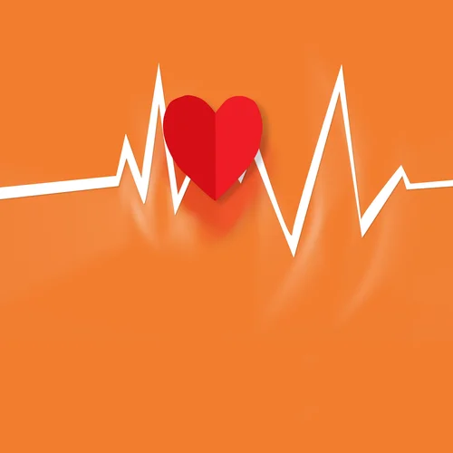 Cardiometabolic Tests