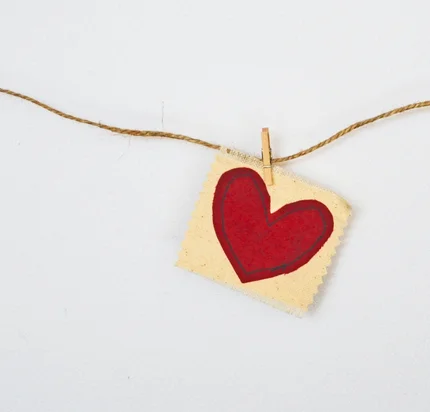 Miscarriage Doula/Coach