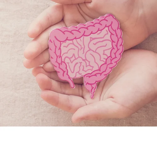 Gut Health