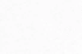 Telehealth Consultation