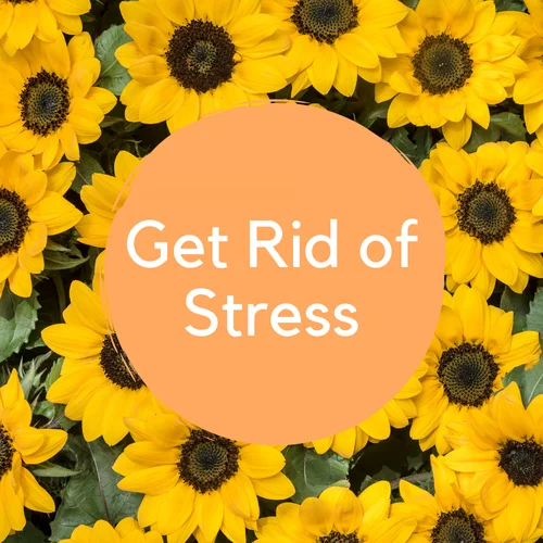 Looking for a way to reduce stress? Try a custom exercise routine