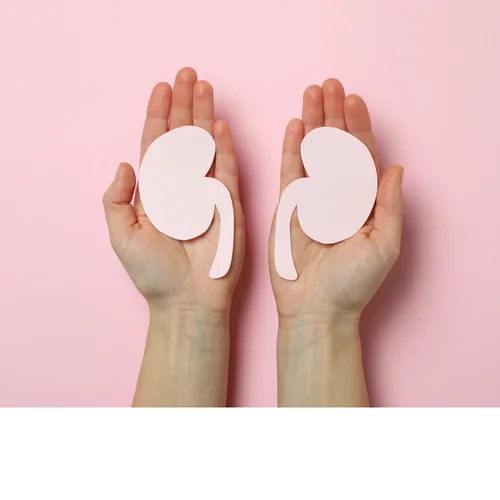 Kidney Health