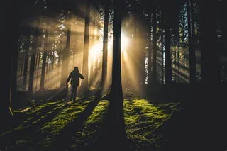 Virtual Grief and Loss Therapy