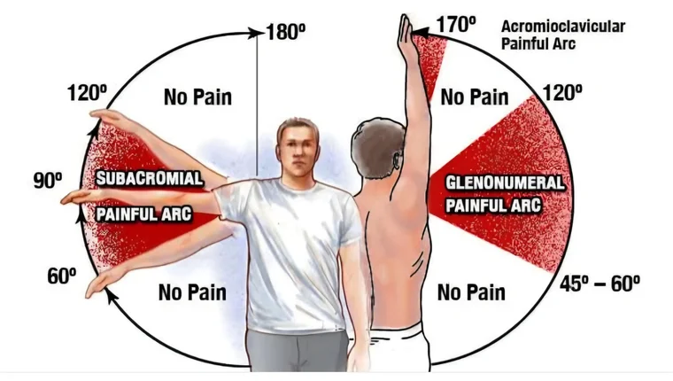Therapeutic Massage and Recovery