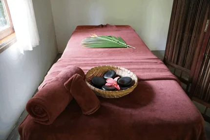 Integrative Healing Session