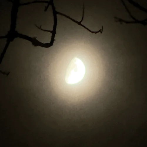 The Dream Scroll:  dream interpretation session