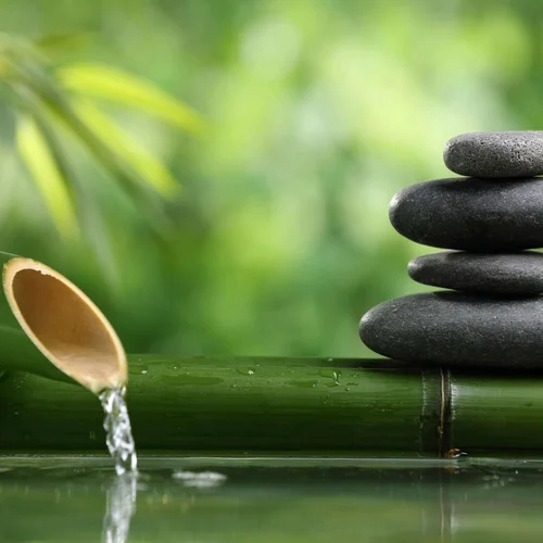 Health and Wellness Discovery Consultation